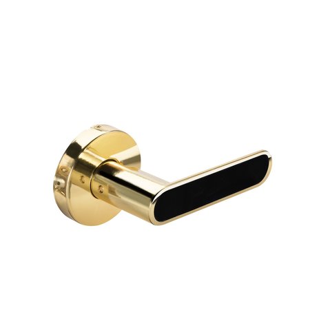 YALE REAL LIVING YH Collection Kincaid Lever with Black Inlay and Flat Round Rose Single Dummy Lock US3 (605) Bright YR81KCBFR605